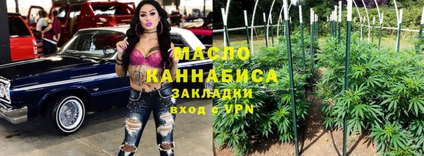 индика Козельск