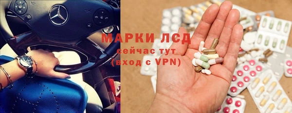 индика Козельск