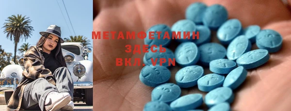 индика Козельск