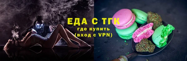 индика Козельск