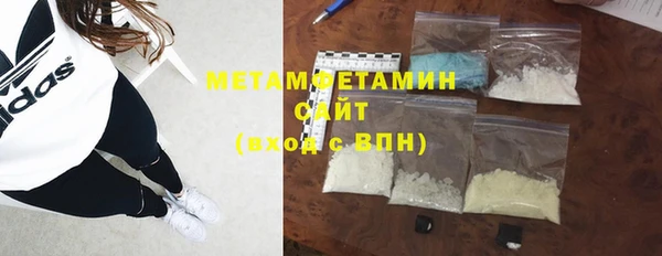 индика Козельск