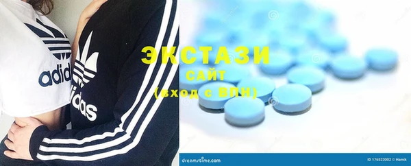 крисы Корсаков