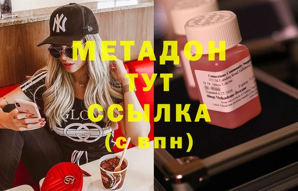 крисы Корсаков