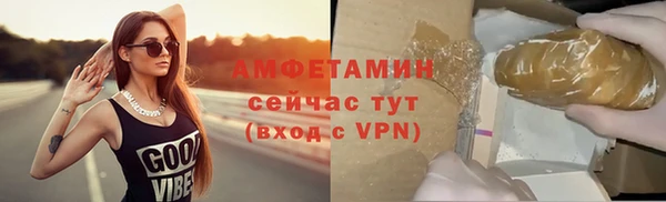 крисы Корсаков