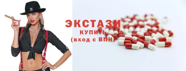 индика Козельск