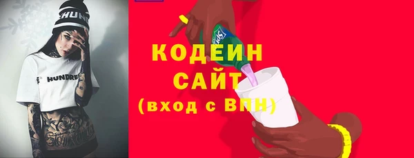 индика Козельск