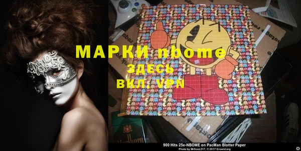 индика Козельск