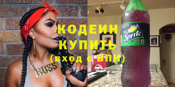 гидра Коряжма