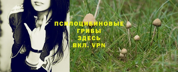 гидра Коряжма