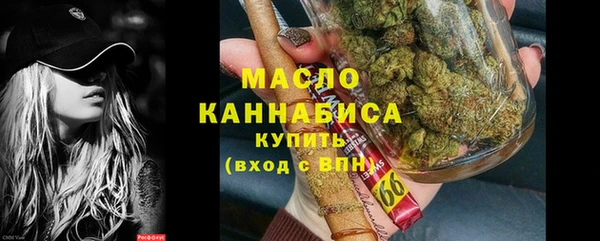 гидра Коряжма