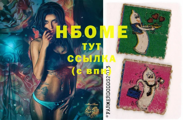 индика Козельск