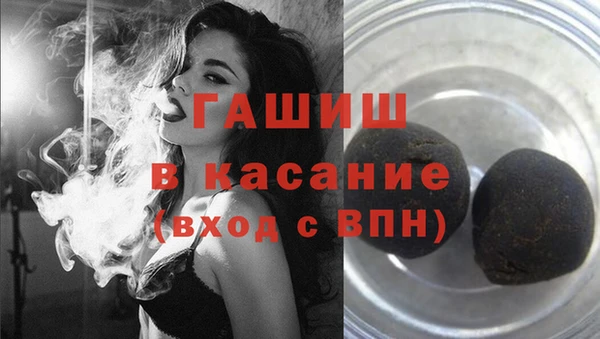 крисы Корсаков