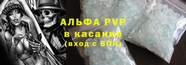 крисы Корсаков