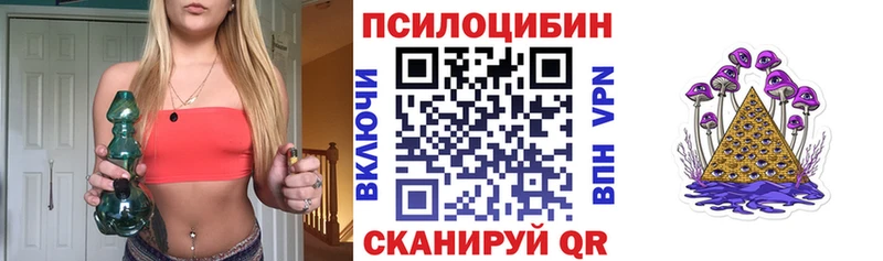 где купить   Нестеров  Псилоцибиновые грибы мицелий 